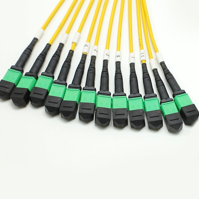 เสียต่ํา MPO Fanout Cable จํานวนมาก 1M 144F SMG657A1 MPO APC ไปยัง MPO APC Breakout Fiber Optic Patch Cord