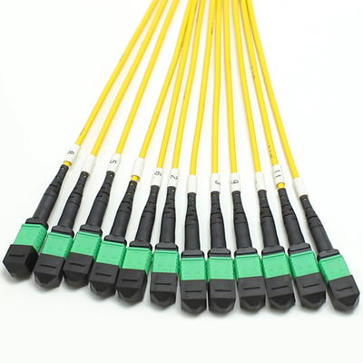 144F MTP MPO Fanout Cable SMG657A1 MPO APC ไปยัง MPO APC Breakout Fiber Optic Patch Cord