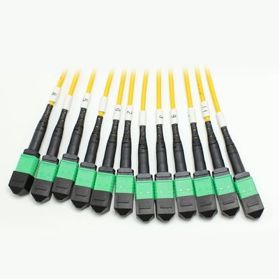 144F MTP MPO Fanout Cable SMG657A1 MPO APC ไปยัง MPO APC Breakout Fiber Optic Patch Cord